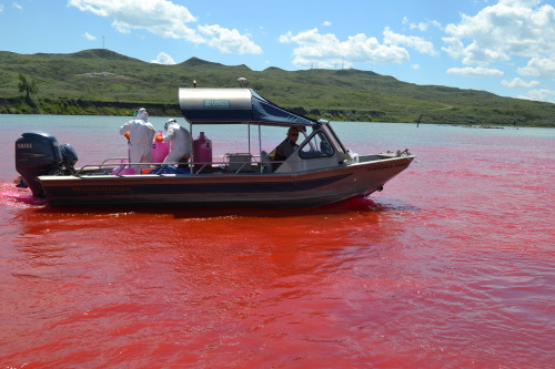 Red River It’s not often that a river totally changes color for fairly benign reasons, but tha