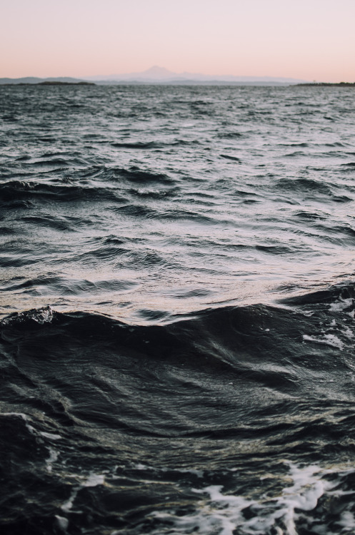 XXX deeplovephotography:  oceanscapes 2016 // photo