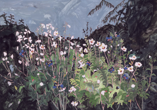 白い花の咲く場所 /  A place of white flowersSUZURIにてスマートフォンケース販売中suzuri.jp/shizukamariya/5440115/boo
