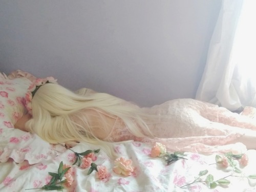 shyfaun: Dreaming ✨