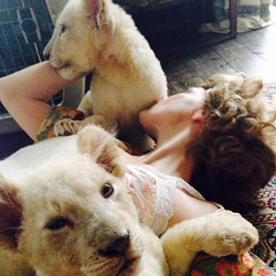 jessicachastaindaily:  A compilation of Jess + animals while filming The Zookeeper’s Wife.