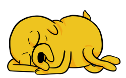 buncharandomstars:  Dog Nap 