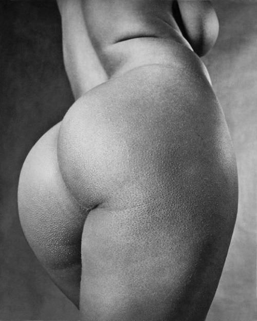 onlyhotbbwbabeshere:  BBW or nothing