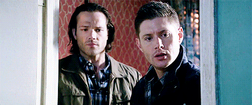jojosaltzmans:Sam and Dean are like my brothers. I love them. And that steadfast loyalty will be you