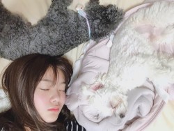 Porn 4846fans:ふわふわの保乃とワンちゃん🐶可愛いですね❤ワンちゃんはオーディションの時に買った？ photos