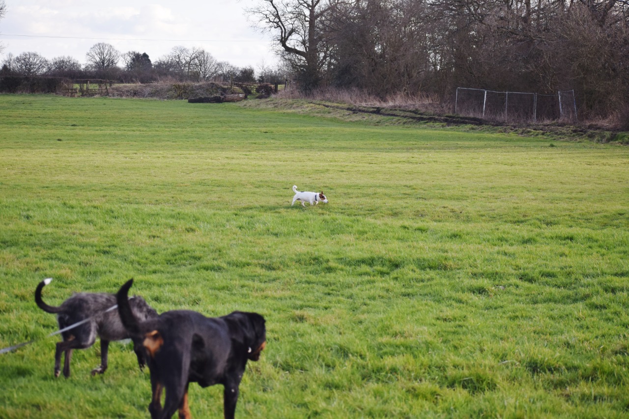 off into farmland