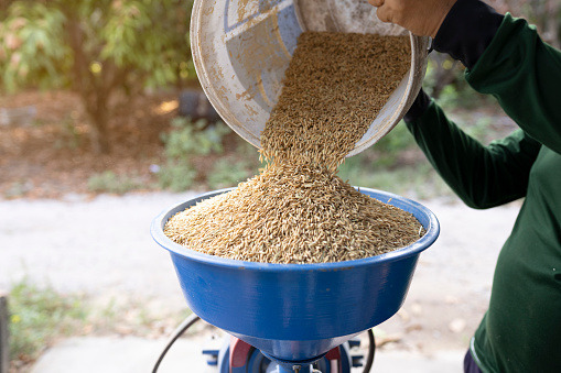 Distillers’ Grains Market   Size, Share Drivers & Growth Opportunity Report