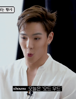 shownu ✧ elle ask me anything