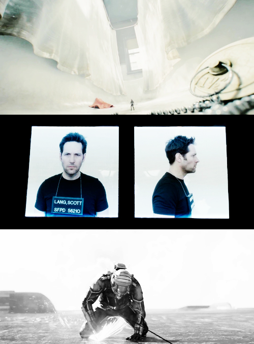 blurrymelancholy:  One question… Is it too late to change the name? Ant-Man (2015),