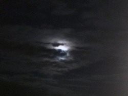 While You Lot Are Sound Asleep In Bed, I&Amp;Rsquo;M Taking Pictures Of The Moon,