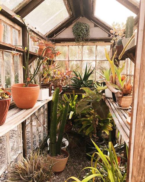 greenhouse