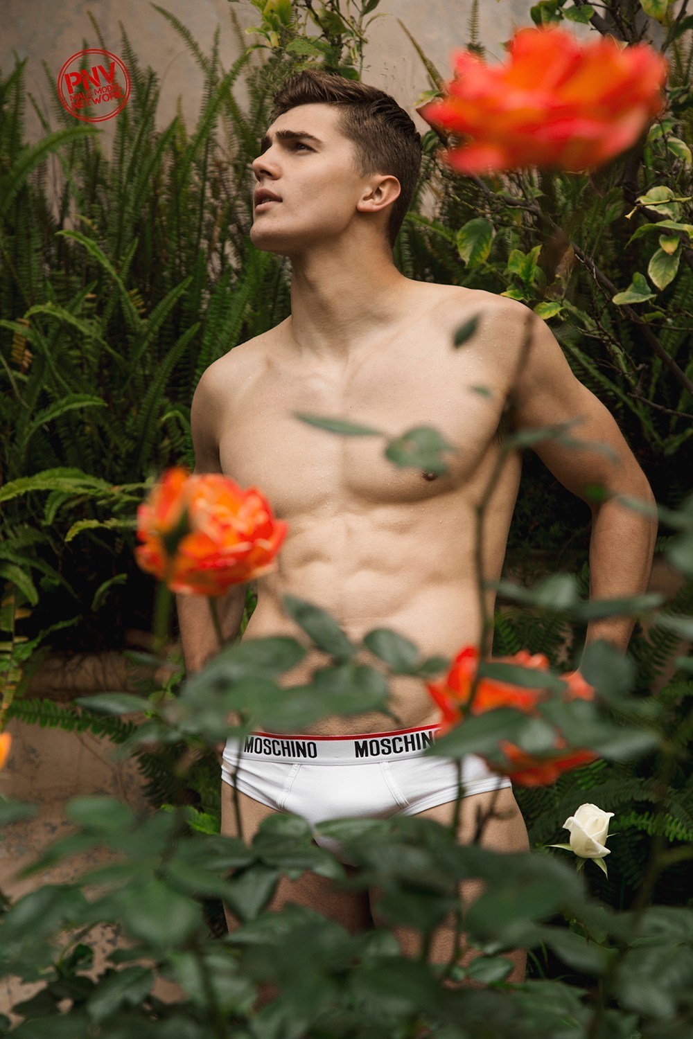 Gaydreamlove