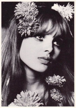 sw33tmarz:  Biba model Madeline Smith in 1967 Picture from Sweet Jane via http://sweetjanespopboutique.blogspot.com.au/?m=1