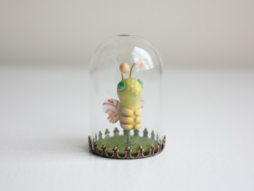 Another round of natural history miniature goodies :) I loved this theme &amp; may revisit it in the