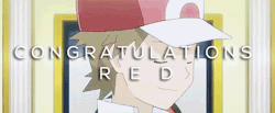 keybladesoras:  After 16 days and over 255 hours of gameplay, the world has completed Twitchplays Pokemon Red. 