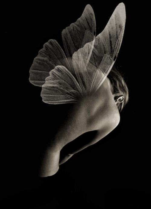 distantpassion:  (…) te ofrezco mis brazos para estar juntos, o te doy mis alas para dejarte volar…(I offer my arms to be together, or I’ll leave my wings to fly).