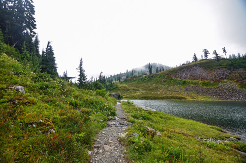 90377: Chain Lakes - Mt Baker by Melissa Ferrell