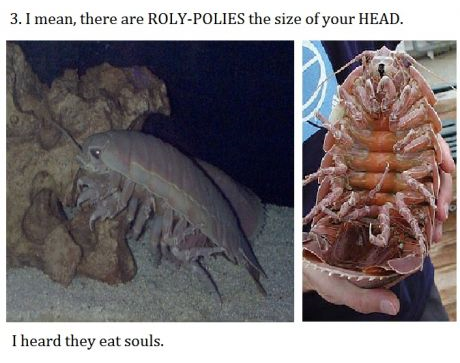 rawrtheynaandsolangelofourever:xforget-it-allx:sobrietykilledtheteenager:thebigbadafro:   It’s a mix of hell and outer space.   how are u going to tell me mermaids dont exist then   this scares the shit outa me   i still wanna explore it