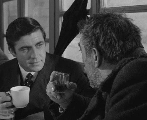 baysherlockholmes: her yeni güne basil olarak başlayıp günün sonunda alexis zorba'ya 