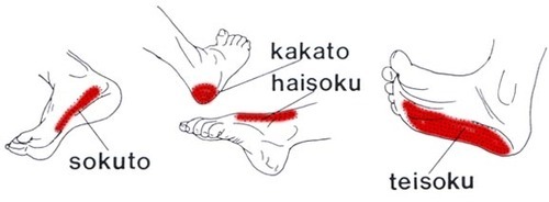 feiyueshoescanada:  Hands and feet are two important parts of playing Kung fu.  How much do you know about them? What postures do Kung Fu hands and Kung Fu feet Kung Fu? How do they play well,together? Only to understand these problems, you can really