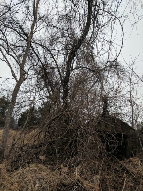 blackmetalchainsaw: Perfect weather today.
