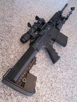 gunrunnerhell:  DPMS LR-308 A more budget friendly AR-10 when compared to higher end models. DPMS is often considered a lower tier AR manufacturer, especially when stacked against companies like Noveske, Knights Armament and JP Enterprises. That being