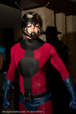 angelophile:  Ant-Man at SDCC 2014, photographed by Jason Ernst on Flickr. 