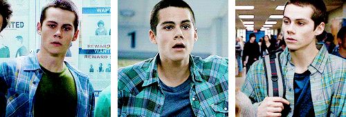 stiles + plaid (insp)