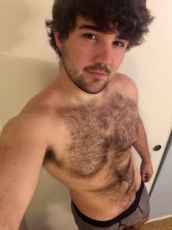 hairy-males:Bedhead, Puppy Eyes, and Chest