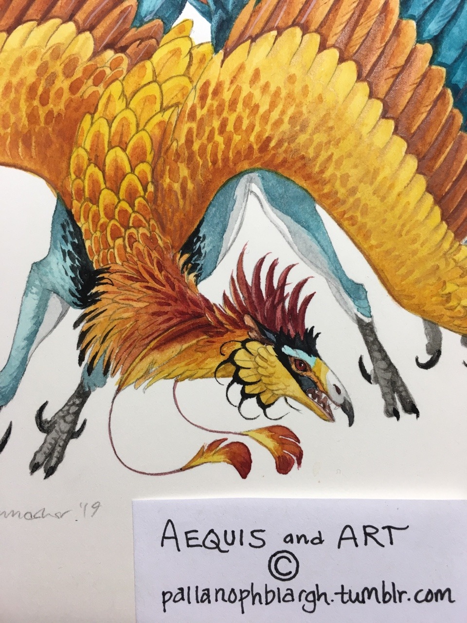 pallanophblargh:  Going to call the bee-eater Aequis custom tentatively done: I’m