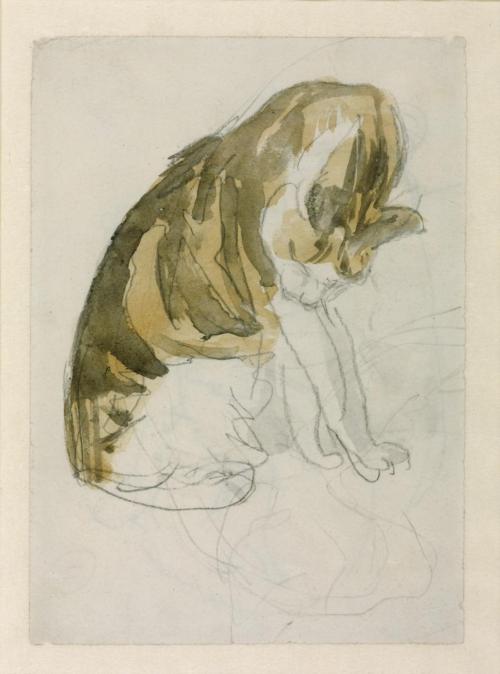 thisandcat:Gwen John, Cat, 1904-08“Gwen John adored her cats, and depicted them frequently. This one