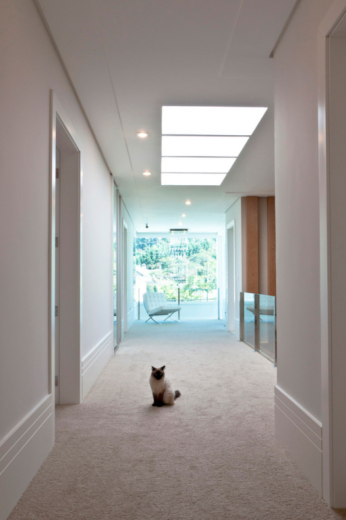 classy-captain: hall by favaro junior    #classyuploads