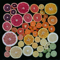 emilyblincoe:  citrus fest part two.  january