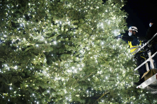 Workers decorate the Christmas tree in front of the Brandenburg Gate for this year&rsquo;s Chris