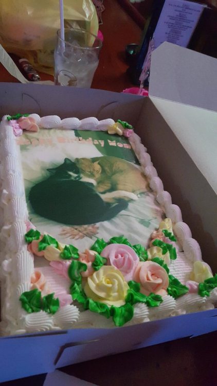 catswinthings: “Nappy Birthday Mom” ift.tt/1Pr3AxI