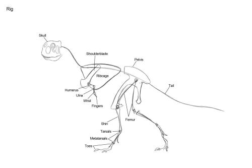 raulramosart: My sketches and designs for week 3 of the creature anatomy course I’m in. Week 3