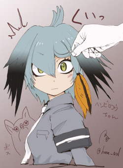 Mrorphans:  ハシビロコウちゃんの目って   She’s Not Angry, Its Just