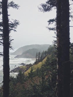 justapplyyourself:Ecola State Park. Cannon