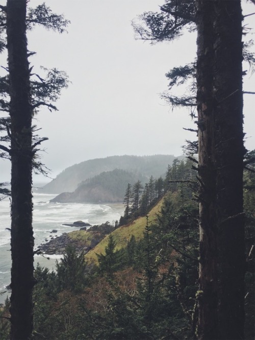 justapplyyourself:Ecola State Park. Cannon Beach, Oregon.