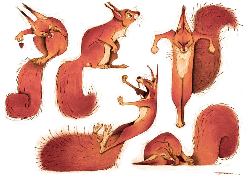 squirrels