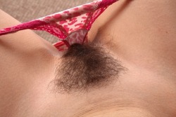 Hairy Pussy Land