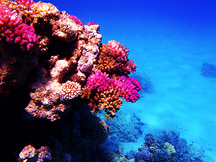 takemetothedungeons:  Satayah, Egypt - October 2013 