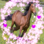 suspiciously-shaped-horse
