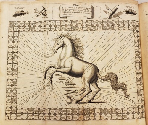 From: Solleysel, Jacques de, 1617-1680. The compleat horseman. London : Printed for R. Bonwick, 1717