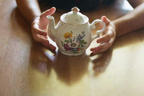 n0rthwind:  . by Rachel Dowda on Flickr. 