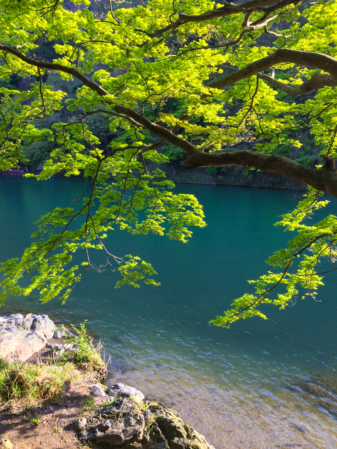 ourbedtimedreams:
“ Arashiyama, Kyoto, Japan by Vlad
Via Flickr:
Arashiyama, Kyoto, Japan
”