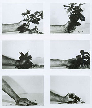 emmacooper: Dennis Oppenheim, Compression-Poison-Oak, 1970