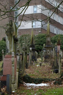 scavengedluxury:General Cemetery. Nottingham, March 2018. 