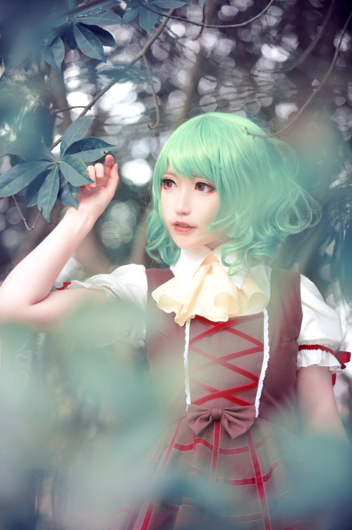 onulohayou:  Kazami Yuuka (Touhou project) by N-apoleon     