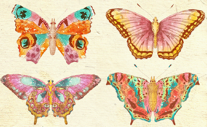 gaksdesigns:  Artist Bárbara Malagoli